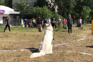 В Одессе появилась еще одна площадка для выгула и дрессировки собак