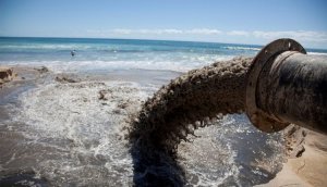 Море в Одессе превратили в резервуар для нечистот