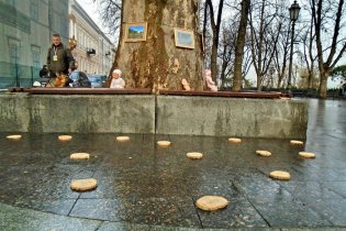 На Думской площади депутатам напомнили о спиленных деревьях на Фонтане