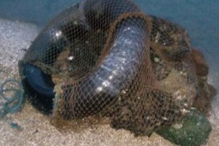 В Одесской области задержали браконьера-водолаза с крупным уловом мидий