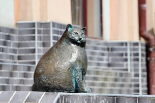 В Одессе установили памятник самой толстой кошке Базарине