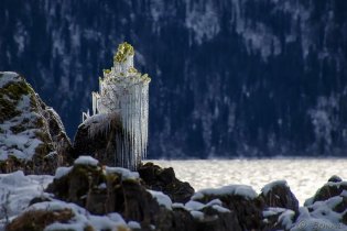 23 уникальные ледяные скульптуры, которые доказывают, что природа - лучший художник.