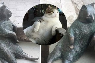 В Стамбуле увековечили кота, который прославился на весь мир