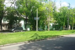 Горзелентрест продолжает работы по омоложению деревьев Одессы