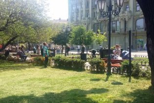 Городской сад Одессы украсили летние цветы
