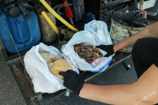Таможенники обнаружили в машине гражданина Турции 4,5 кг янтаря.