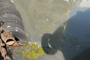 В акваторию Одесского порта снова слили нечистоты