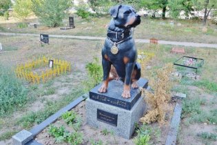 В Одессе хотят создать крематорий для животных