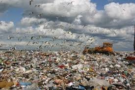 В Одесской области насчитывается около 600 свалок мусора, многие из которых незаконны