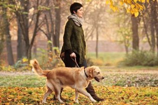 На создание двух площадок для выгула собак из бюджета Одессы направят 3 миллиона