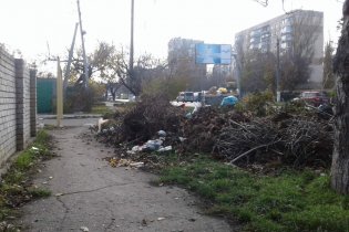 В Одессе мусорная свалка "захватывает" дорогу