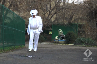Одесский зоопарк выпустил традиционный новогодний клип