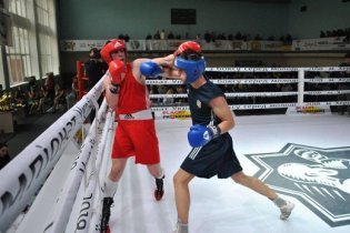 Одесситы представят Украину на чемпионате Европы по боксу