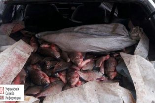 С начала года браконьеры под Одессой выловили тонну рыбы