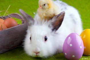 Приключения Пасхального кролика: Одесский зоопарк приглашает на веселый праздник