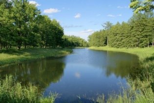 В Одесской области потратят 18 миллионов на экосистему Придунайских озер