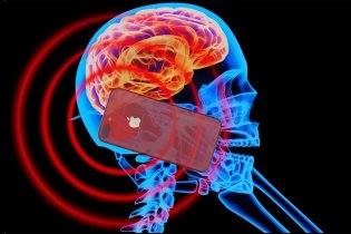 Насколько смартфон вредит нашему мозгу